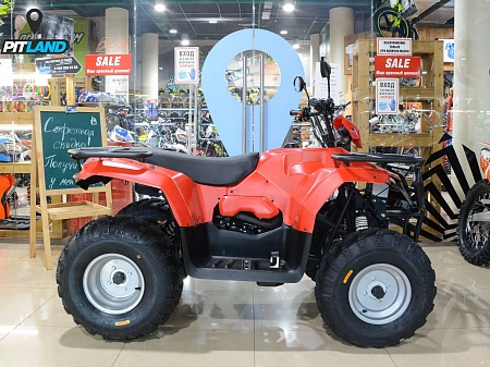 Квадроцикл Irbis ATV (Ирбис АТВ) 250, красный Квадроцикл Irbis ATV (Ирбис АТВ) 250, красный